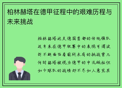 柏林赫塔在德甲征程中的艰难历程与未来挑战